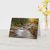 Fall bei Jefferson Brook, New Hampshire Karte (Gelbe Blume)