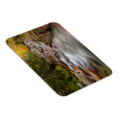 Fall bei Jefferson Brook, New Hampshire Magnet (Rechte Seite)