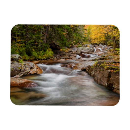 Fall bei Jefferson Brook, New Hampshire Magnet (Horizontal)