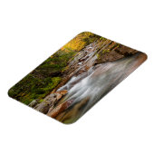 Fall bei Jefferson Brook, New Hampshire Magnet (Linke Seite)