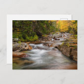 Fall bei Jefferson Brook, New Hampshire Postkarte (Vorne/Hinten)