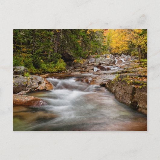 Fall bei Jefferson Brook, New Hampshire Postkarte (Vorderseite)