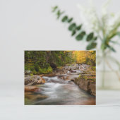 Fall bei Jefferson Brook, New Hampshire Postkarte (Stehend Vorderseite)