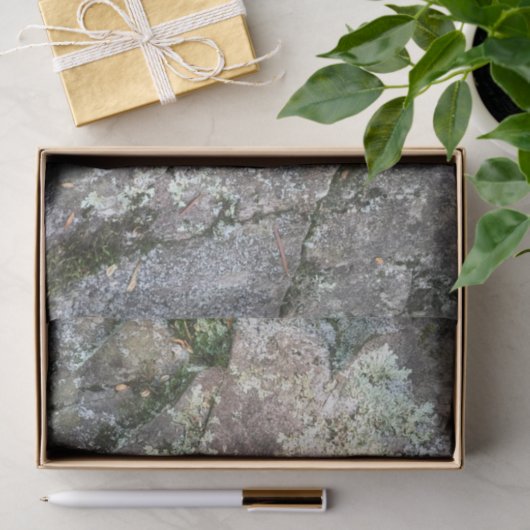 Fall-Blatt auf Felsen Seidenpapier (Geschenk)