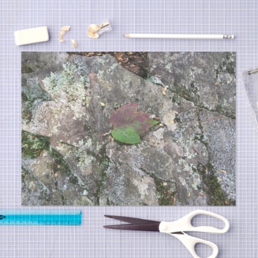 Fall-Blatt auf Felsen Seidenpapier (Handwerk)