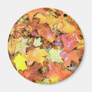 Fall-Blatt Magnet