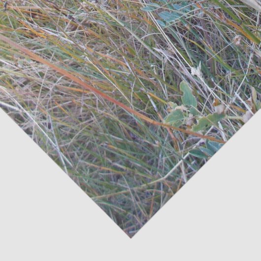 Fall-Blatt-Seidenpapier Seidenpapier (Detail)