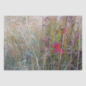 Fall-Blatt-Seidenpapier Seidenpapier (Vorderseite)