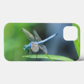 Fall Blue Dragonfly iPad oder Phone Case-Mate iPhone Hülle (Rückseite (Horizontal))