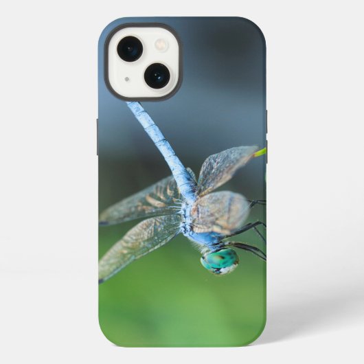 Fall Blue Dragonfly iPad oder Phone iPhone Hülle (Rückseite)