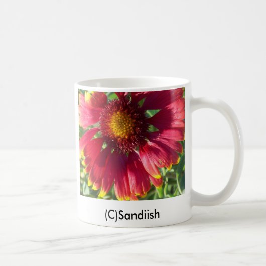 , Fall-Blume (C) Sandiish Kaffeetasse (Rechts)