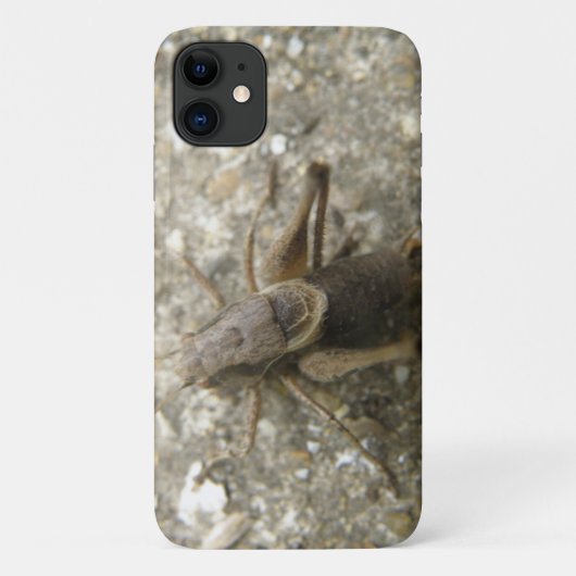 Fall Brawn Field Cricket iPhone 3 Case-Mate iPhone Hülle (Rückseite)