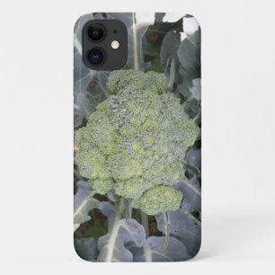 Fall Broccoli i iPhone 3 Case-Mate iPhone Hülle