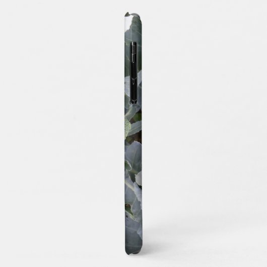 Fall Broccoli i iPhone 3 Case-Mate iPhone Hülle (Hinten/Links)
