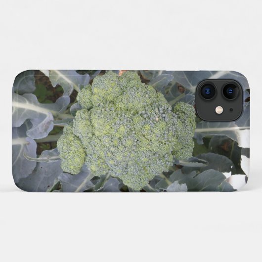 Fall Broccoli i iPhone 3 Case-Mate iPhone Hülle (Rückseite (Horizontal))