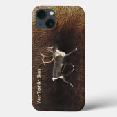 Fall Bull Caribbean (Rentier) Case-Mate iPhone Hülle (Rückseite)