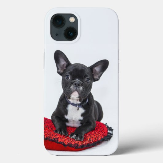 Fall Bulldog Case-Mate iPhone Case-Mate iPhone Hülle (Rückseite)