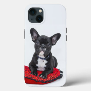 Fall Bulldog Case-Mate iPhone Hülle