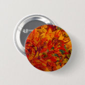 Fall Button (Vorne & Hinten)