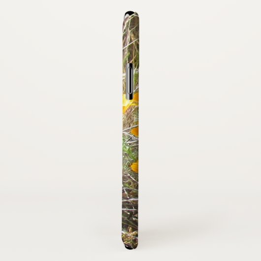 Fall: California Poppies in Field Case-Mate iPhone Hülle (Hinten/Rechts)
