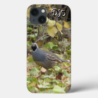Fall California Quail Case-Mate iPhone