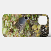Fall California Quail Case-Mate iPhone Hülle (Rückseite (Horizontal))