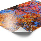 Fall Canopy Fotodruck (Ecke)