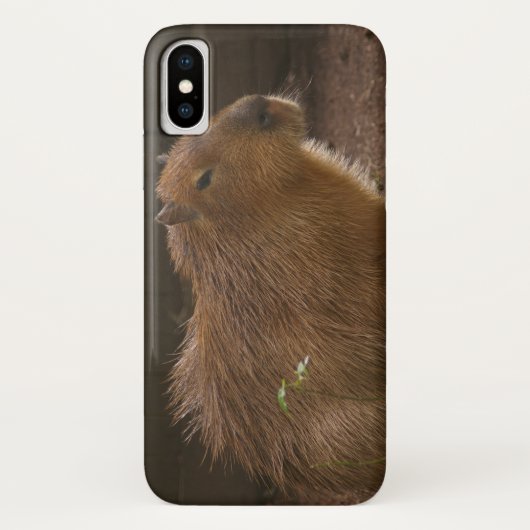 Fall Capybara Case-Mate iPhone Hülle (Rückseite)