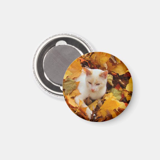 Fall Cat Magnet (Vorderseite/Rückseite)