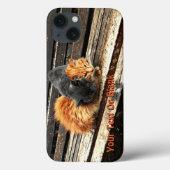 Fall "Catnap"-Süssen für iPhone-Case Case-Mate iPhone Hülle (Rückseite)