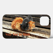 Fall "Catnap"-Süssen für iPhone-Case Case-Mate iPhone Hülle (Rückseite (Horizontal))