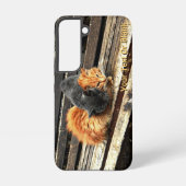 Fall "Catnap"-Süssen für iPhone-Case Samsung Galaxy Hülle (Rückseite)