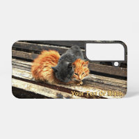Fall "Catnap"-Süssen für iPhone-Case