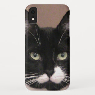 Fall Cattitude iPhone Case-Mate iPhone Hülle