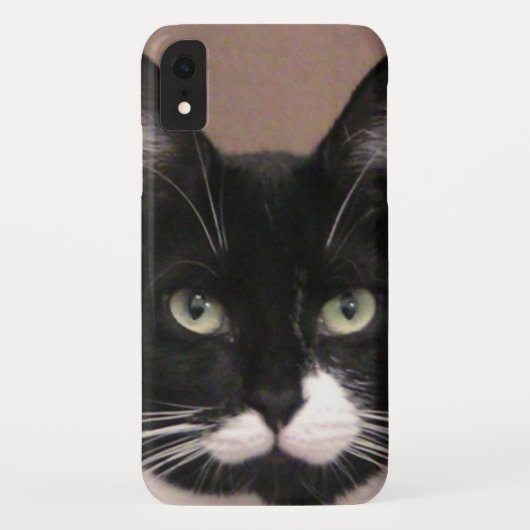Fall Cattitude iPhone Case-Mate iPhone Hülle (Rückseite)