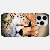 Fall Cheetah Case-Mate iPhone Case-Mate iPhone Hülle (Rückseite (Horizontal))