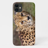 Fall Cheetah iPhone 11 Case-Mate iPhone Hülle (Rückseite)