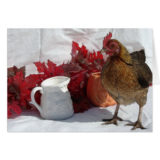 Fall Chicken (Vorderseite (Horizontal))