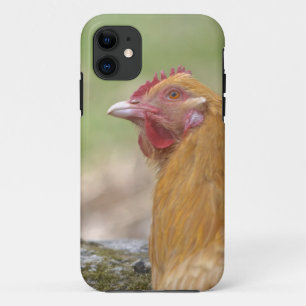 Fall "Chicken iPhone 5" Case-Mate iPhone Hülle