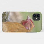 Fall "Chicken iPhone 5" Case-Mate iPhone Hülle (Rückseite (Horizontal))