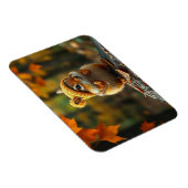 Fall Chipmunk Magnet (Rechte Seite)