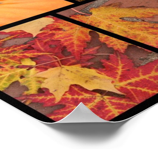 Fall Collage Poster (Ecke)