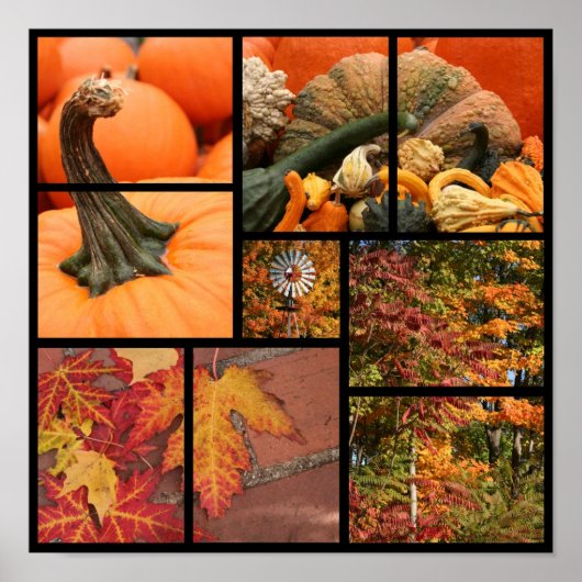 Fall Collage Poster (Vorne)