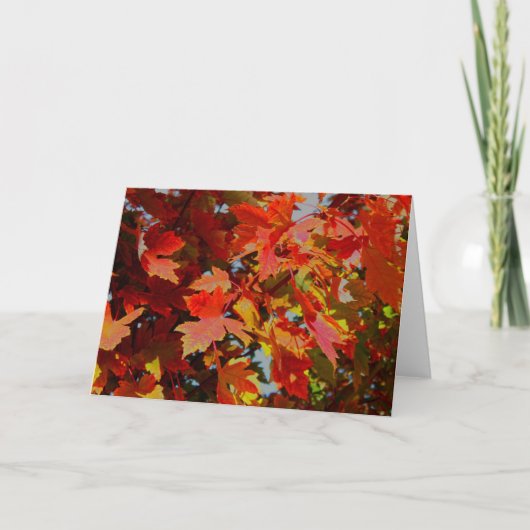 Fall collection Note card Karte (Vorderseite)