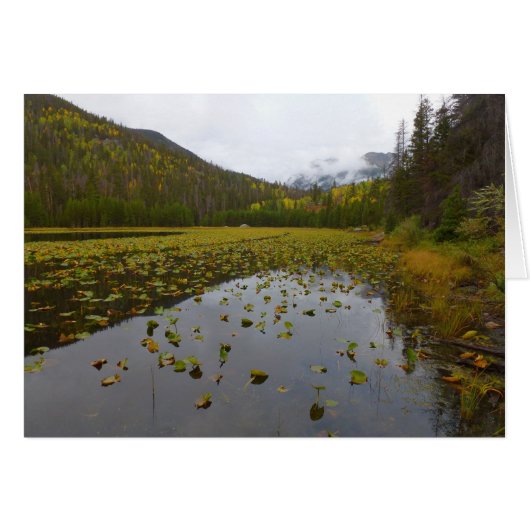 Fall Color at Cube Lake (Vorderseite (Horizontal))