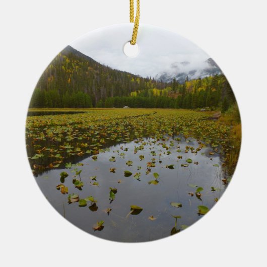 Fall Color at Cube Lake Keramik Ornament (Vorne)