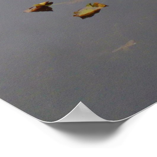 Fall Color at Cube Lake Poster (Ecke)