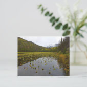 Fall Color at Cube Lake Postkarte (Stehend Vorderseite)