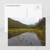 Fall Color at Cube Lake Postkarte (Vorne/Hinten)