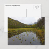 Fall Color at Cube Lake Postkarte (Vorne/Hinten)